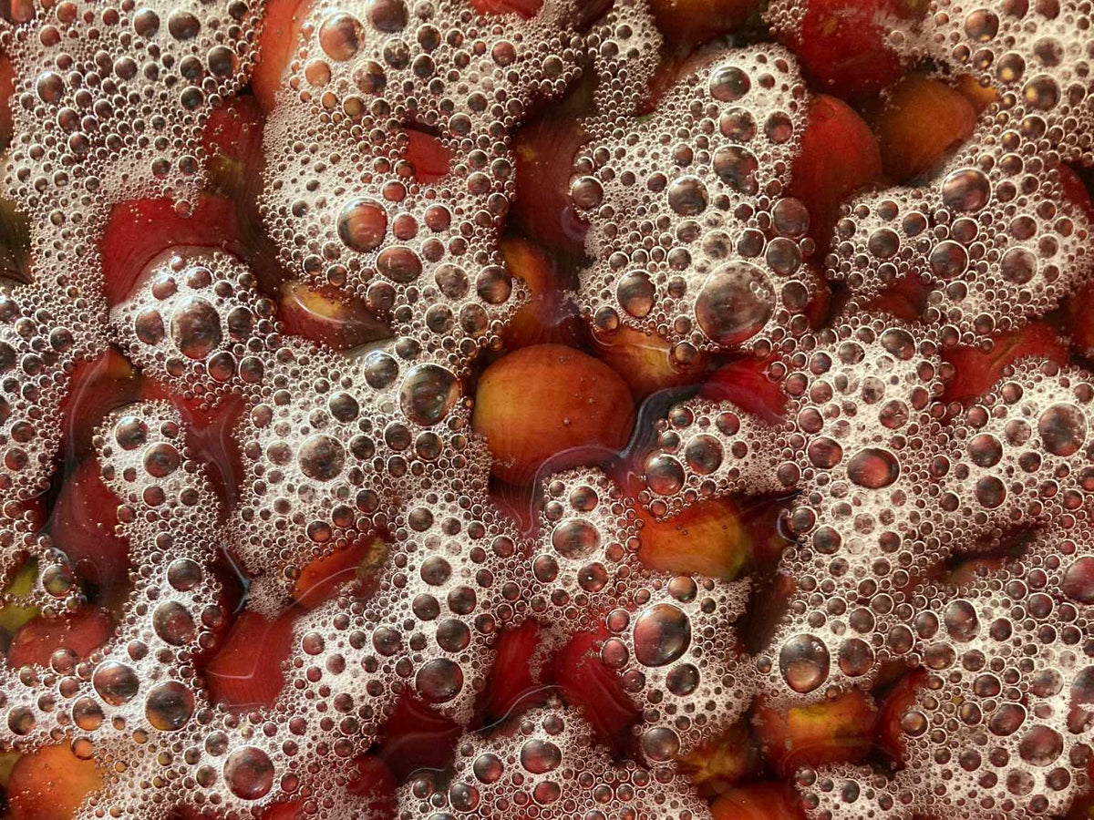 Co-Fermentierte und Infused Kaffees: Was steckt dahinter?