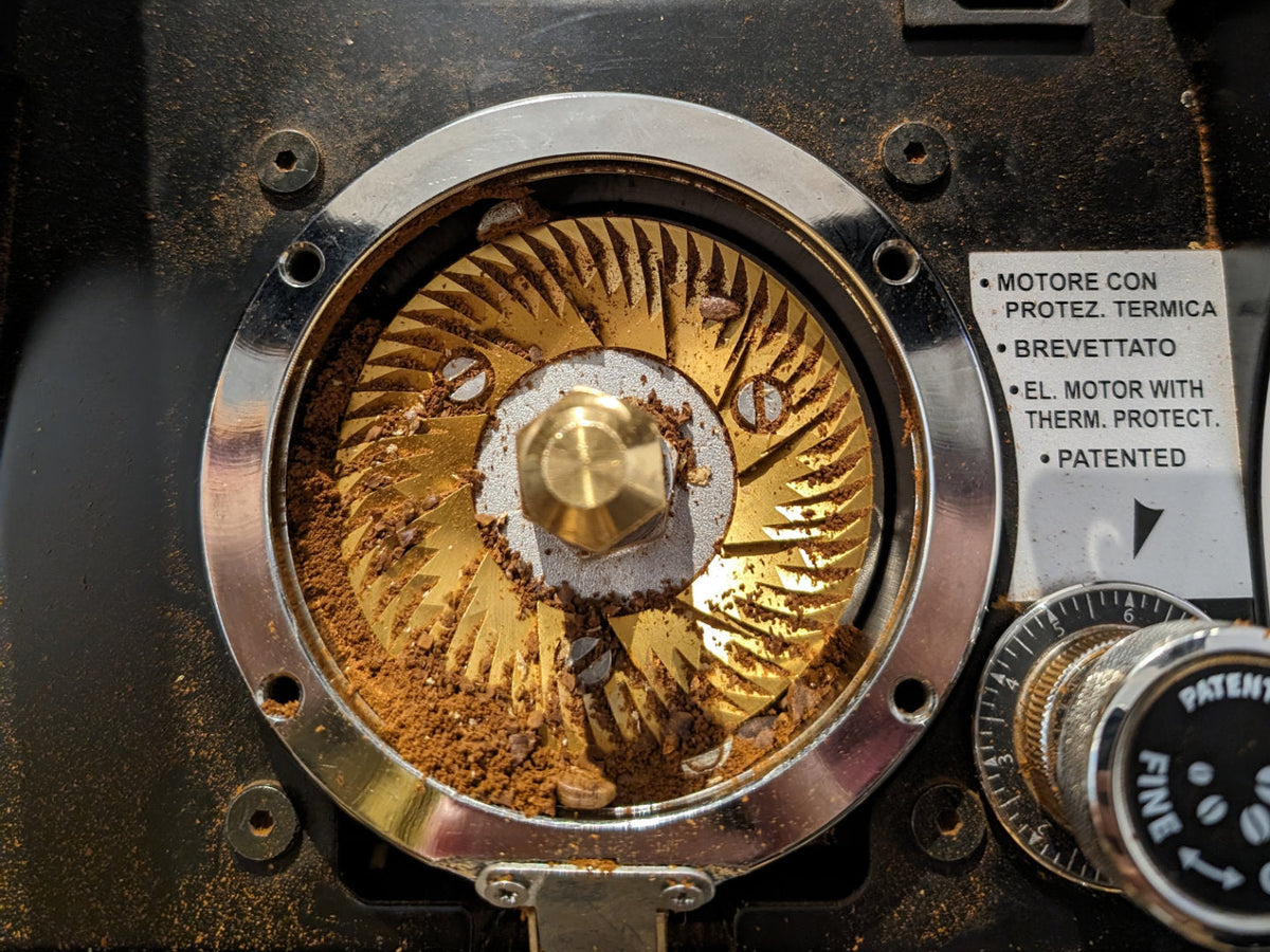Blog-Titelbild zum Beitrag Kaffeemühle reinigen. Zu sehen ist eine offenliegende Mahlscheibe einer Mythos-Kaffeemühle.