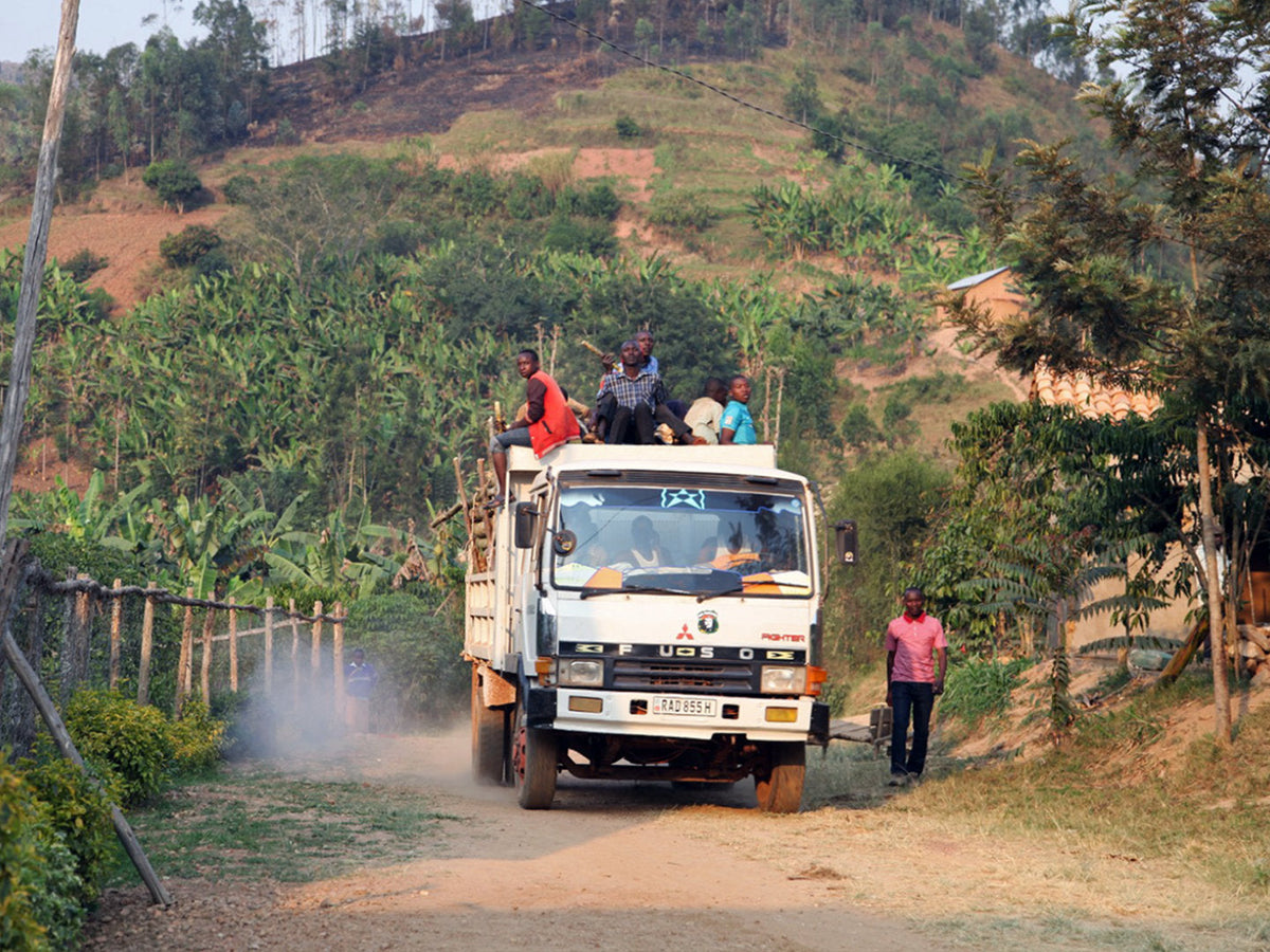 Titelbild zum Artikel "Wie wird Kaffee gehandelt?". Zu sehen sind Mitarbeiter:innen einer Farm auf einem LKW im afrikanischen Ruanda.