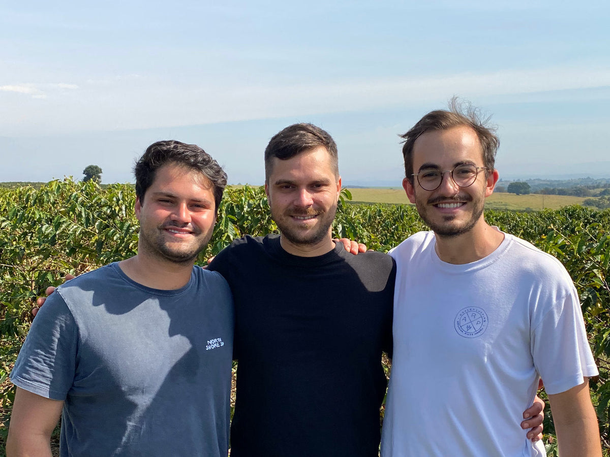 Titelbild zum Blogartikel: Luis, Mats und Niklas (v. l. n. r.) stehen vor Kaffeepflanzen auf einer Farm in Brasilien. Aufgenommen im Juni 2022. In weißer Schrift liest man "Wer ist Ocafi?".