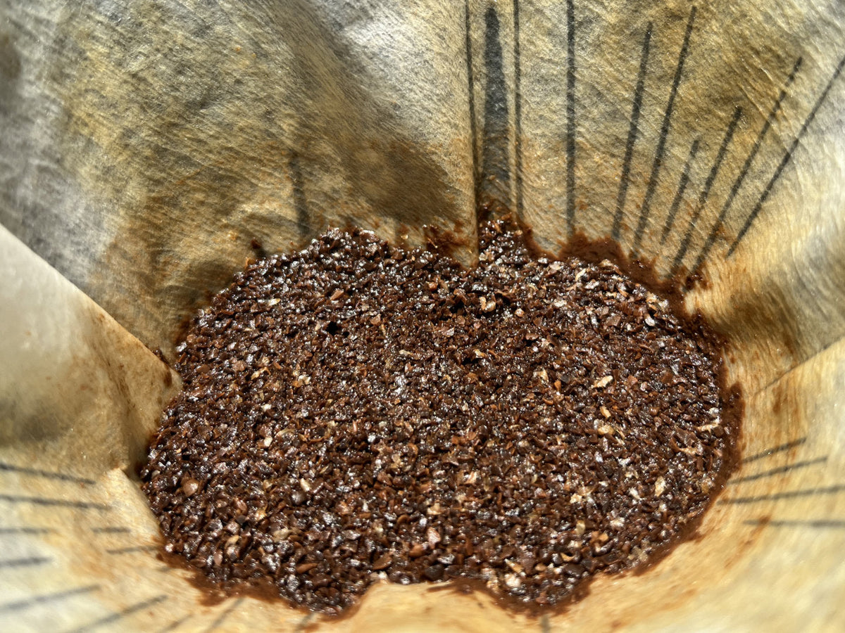 Titelbild zum Blogbeitrag zu Kaffeesatz-Upcycling. Kaffeesatz als Dünger verwenden.